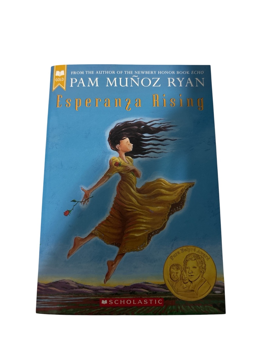 Scholastic paperback - Blue & Gold cover illustration